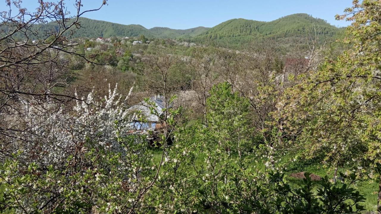 Bat'Kivska Hata Stari Kuty Exterior foto