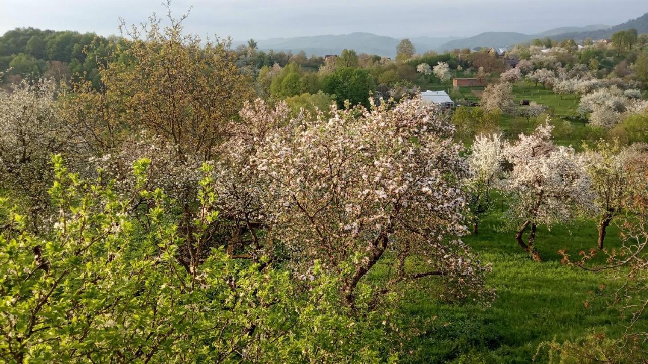 Bat'Kivska Hata Stari Kuty Exterior foto