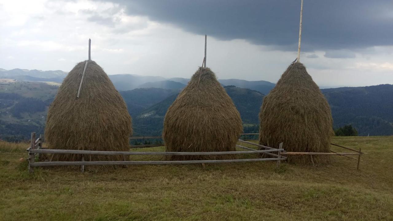 Bat'Kivska Hata Stari Kuty Exterior foto